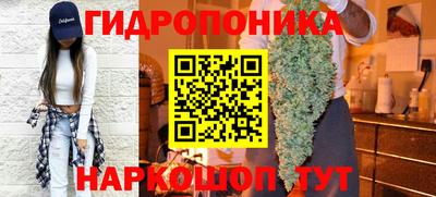 прущие крисы Пенза