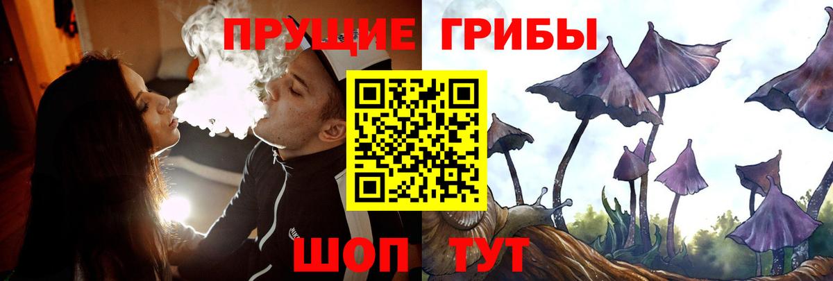 Псилоцибиновые грибы Cubensis  Вход с VPN  Трёхгорный 